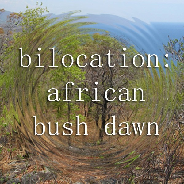 Bilocation African Bush Dawn Cover Art