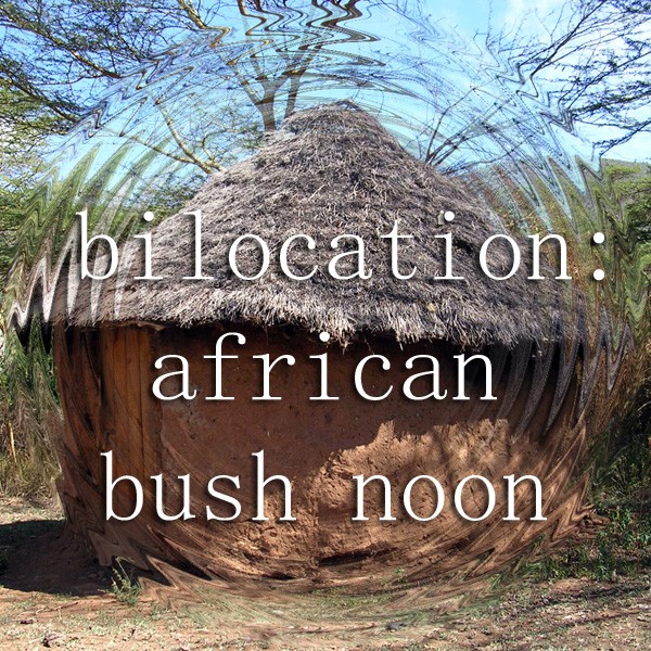 Bilocation African Bush Noon Album Cover Art
