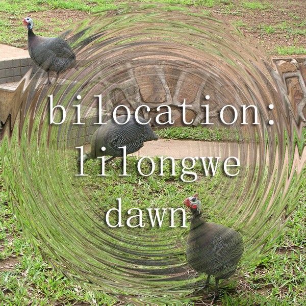 Bilocation Lilongwe Dawn album cover art